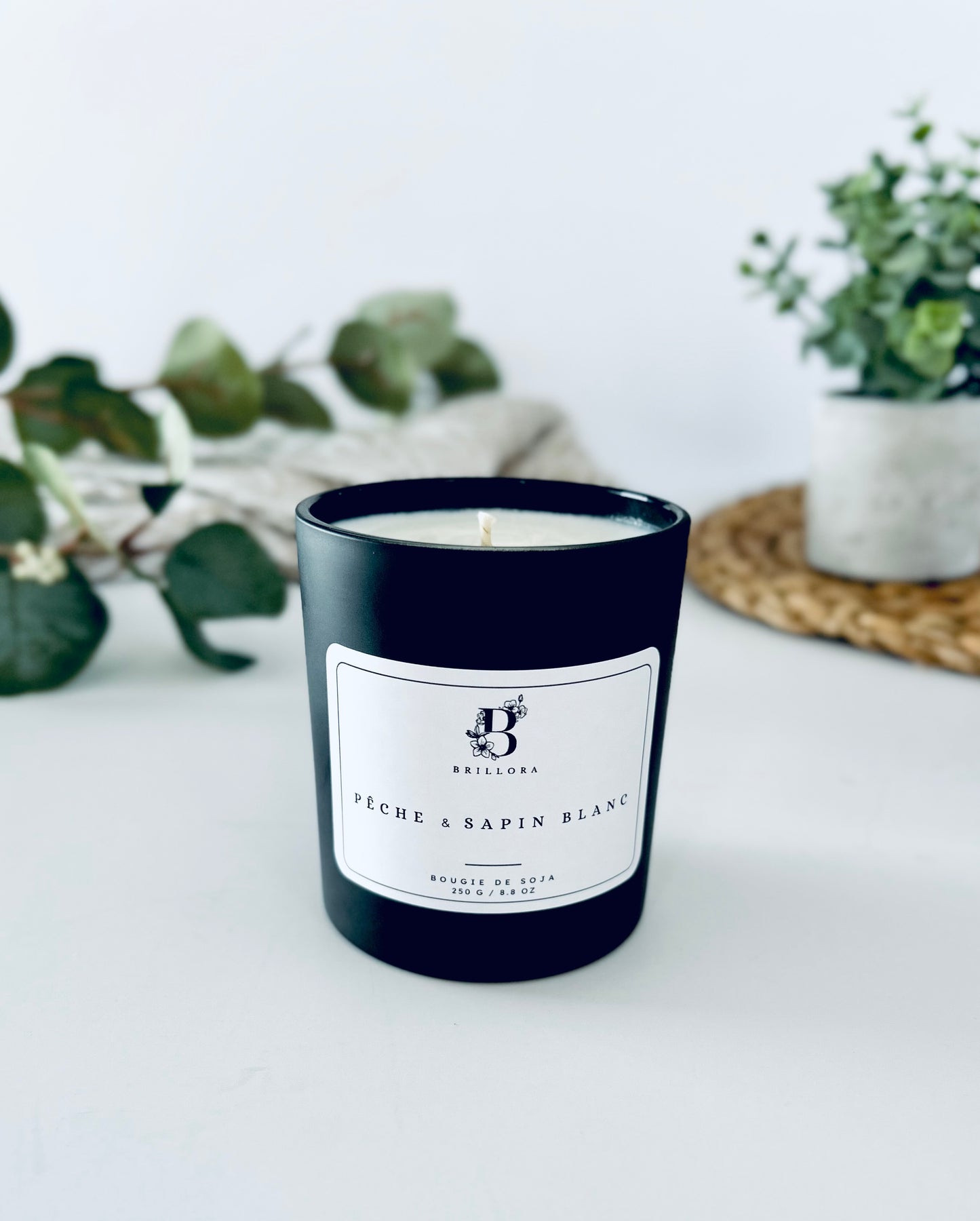 Bougie minimaliste - Pêche & Sapin Blanc