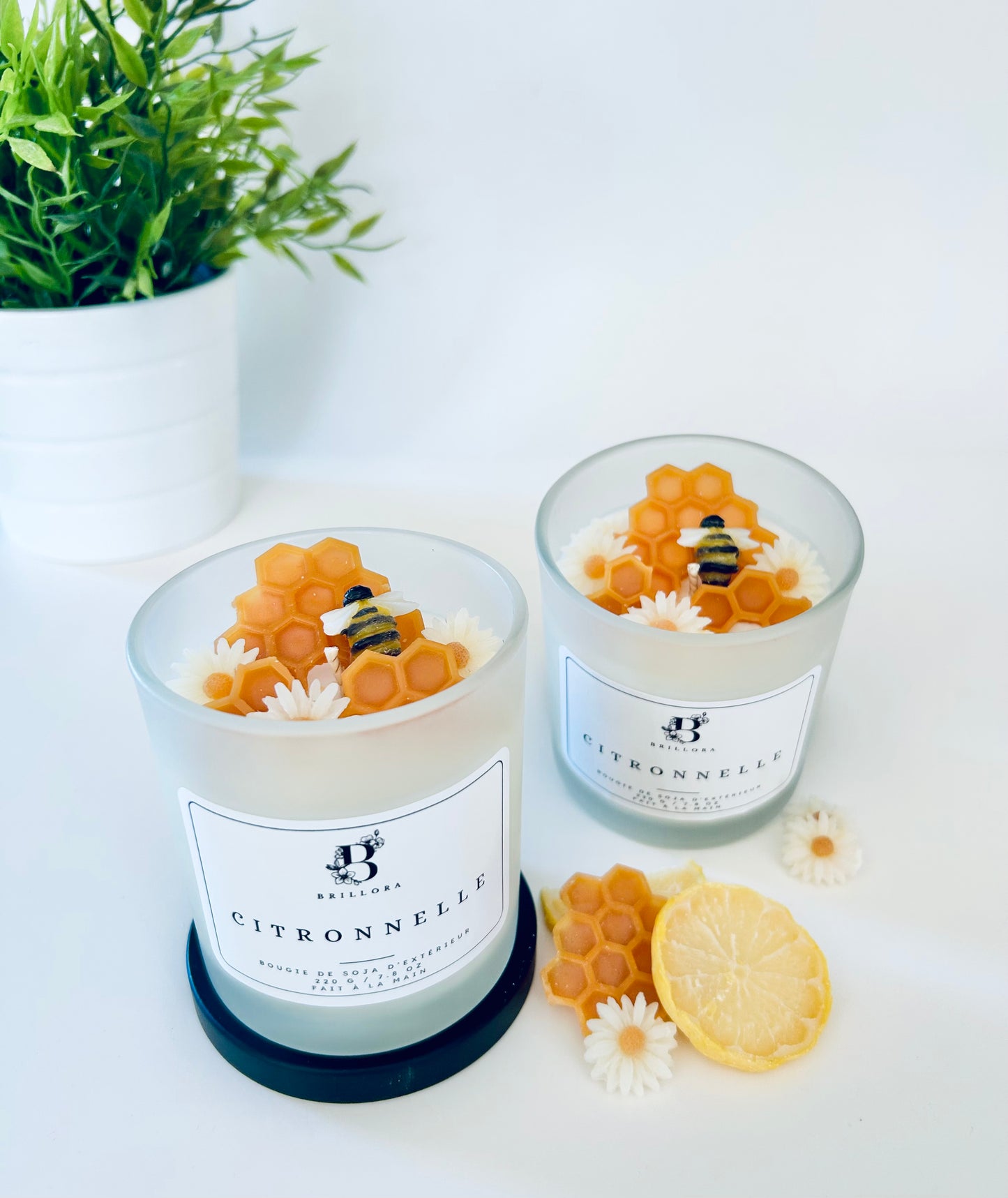 Bougie d'extérieur - Citronnelle