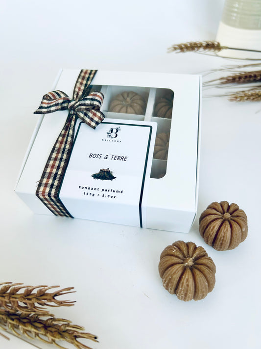 Fondant parfumé - Terre & Bois