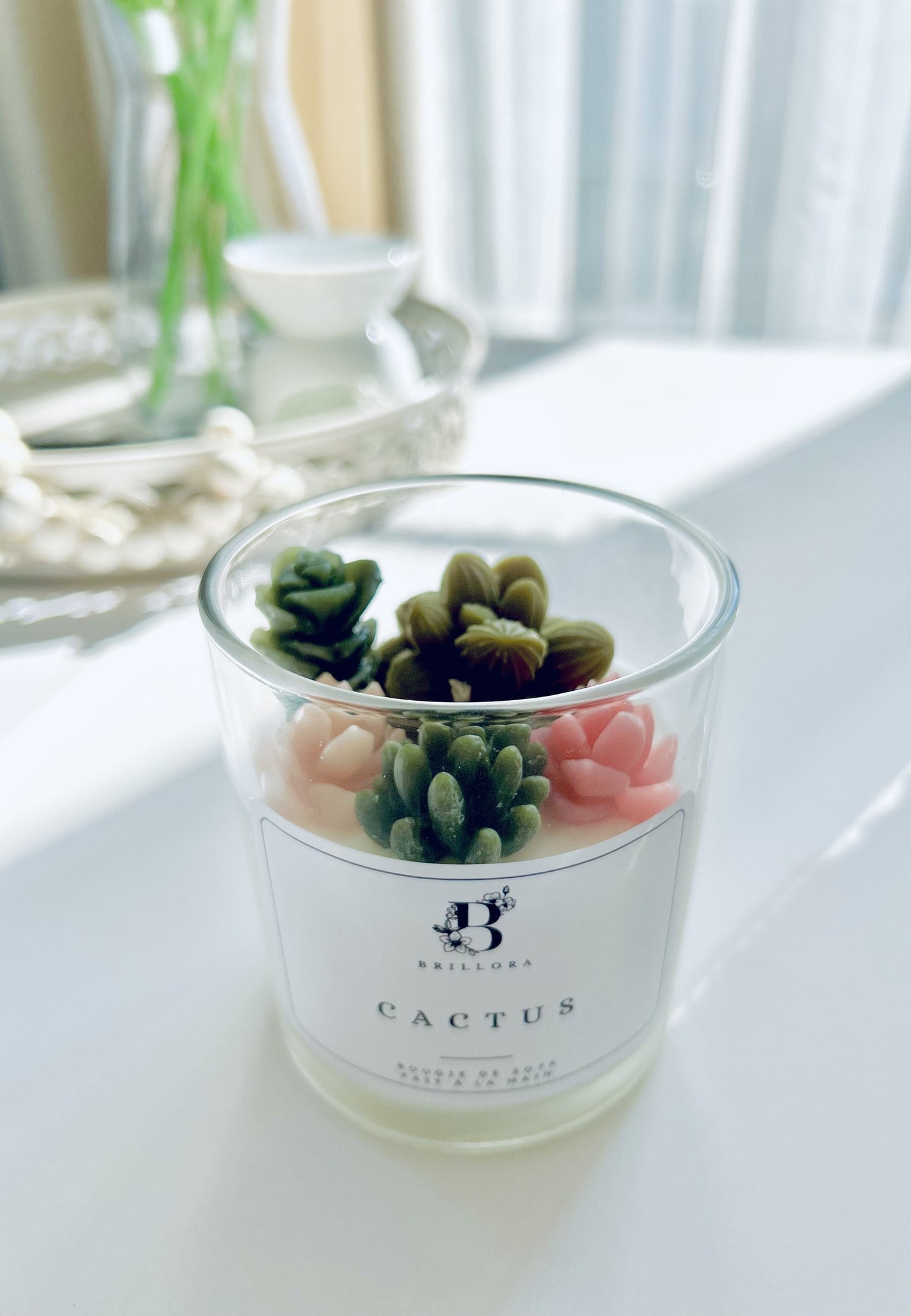 Bougie décorative - Cactus