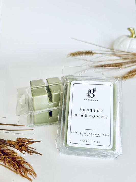 Cube de cire de soja & coco - Sentier d'automne